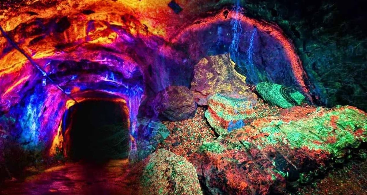 dunyanin en buyugu her yil 40 bin kisi akin ediyor neon yesilleri atesli turuncular ve derin morlari gormek icin can atiyorlar iTNRvKpf