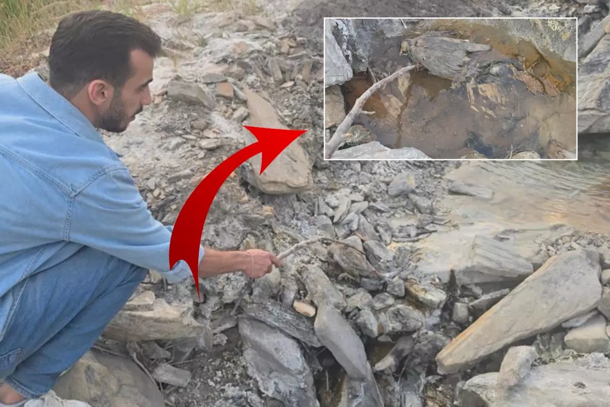 hakkaride gizemli vadi insanlara sifa hayvanlara olum getiriyor r6UZF7NS