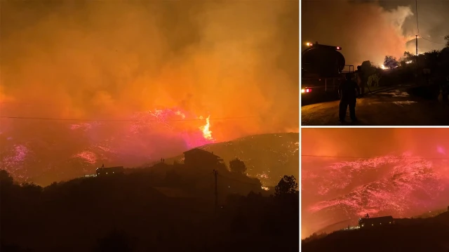 orman yangininda alevlere mahalleye sicradi evler ve seralar alevlerin arasinda kaldi UkUg2Wfw