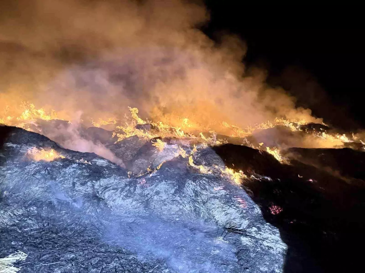 afyonkarahisarda yangin eber golunden toplanan kamislarin depolari alev aldi IcUncc5g