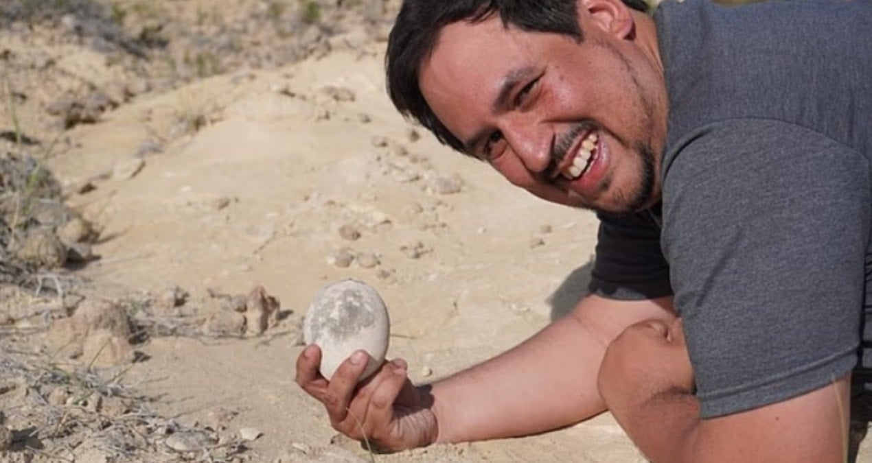 sanki dun birakilmis gibi 70 milyon yillik dinozor yumurtasi bulundu pGQ7uqyq.jpg