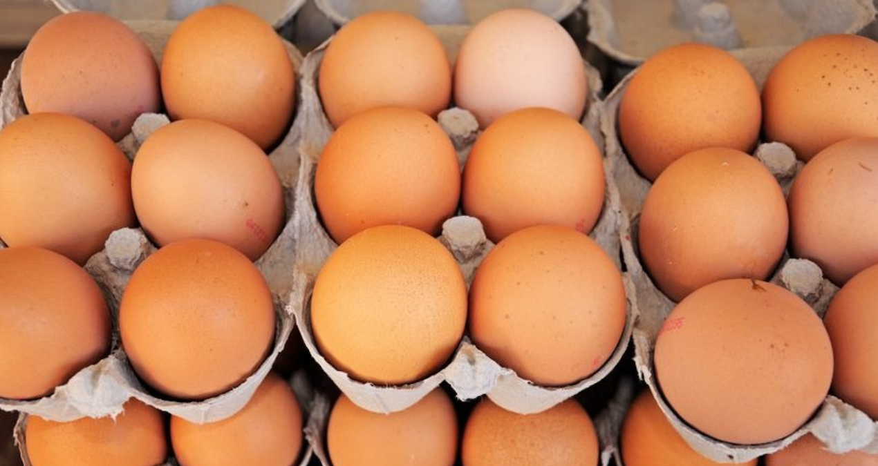 yumurta krizi kapida uretimde sert dusus csHyG3fQ.jpg