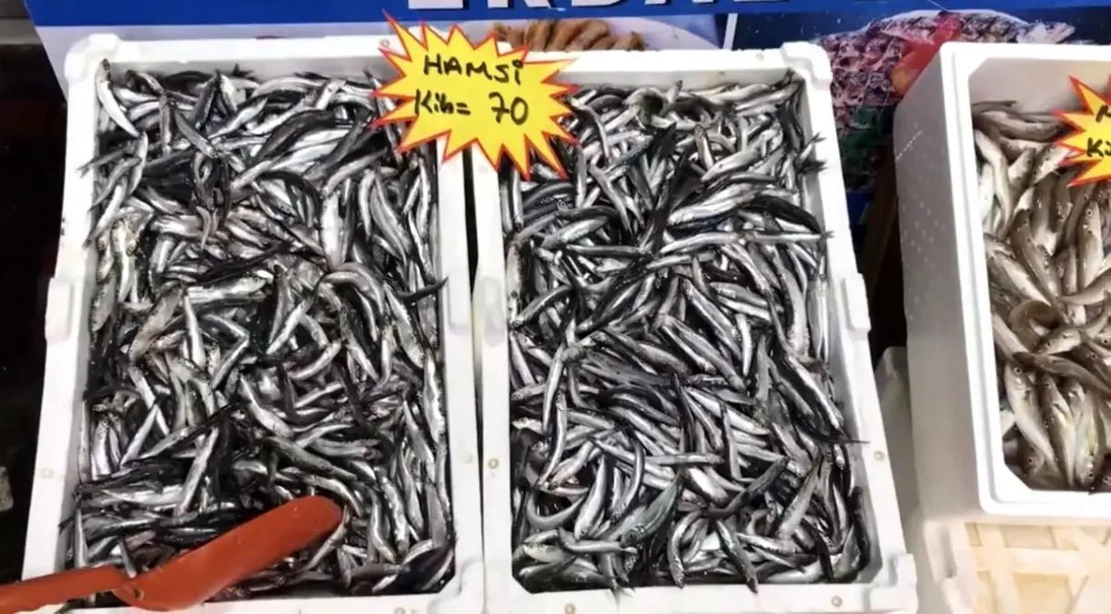 akcakoca balikci barinagi baskanindan taze balik uyarisi DQSIZP8q.jpg