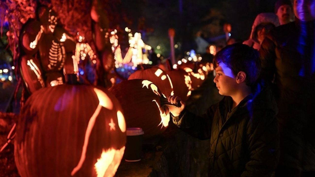 halloween nedir cadilar bayrami ne zaman SEHen85m.jpg
