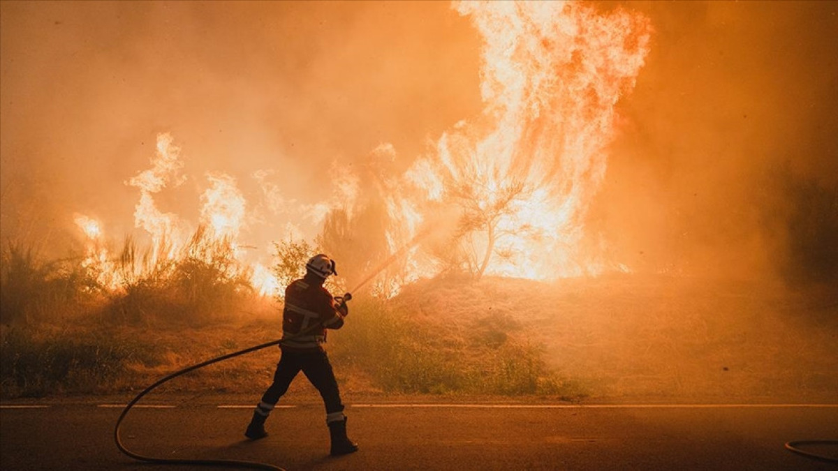 İspanya’da bu yıl 350 bin hektardan fazla ormanlık alan yandı