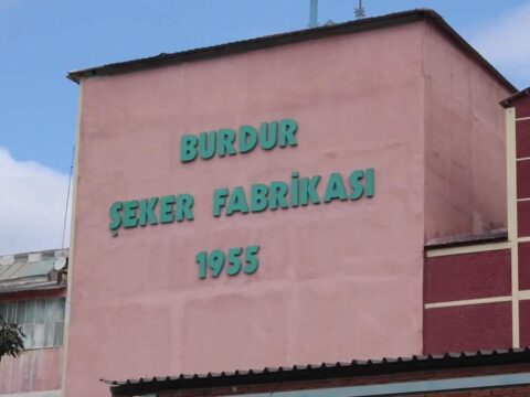 Haber gorseli